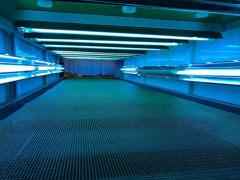 Rayo UV y plasma frío para desinfectar productos