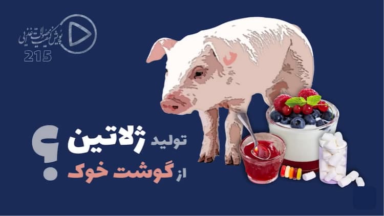 https://files.icib.co/files/1729072151_B3FECY3hI3ktPWTT3NK2yuhBQ6ElwNQJ6Gcg3abU.jpg