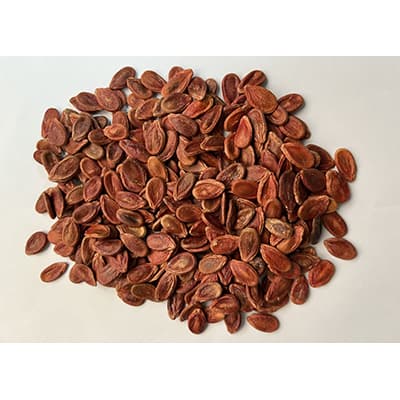 Watermelon seeds