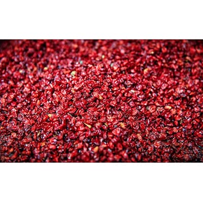 BARBERRY