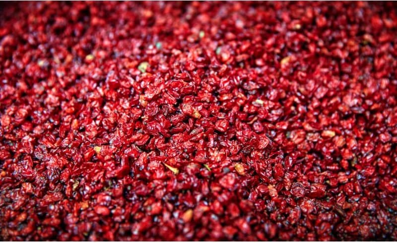 Barberry: A Resilient Crop Thriving in Temperate Climates