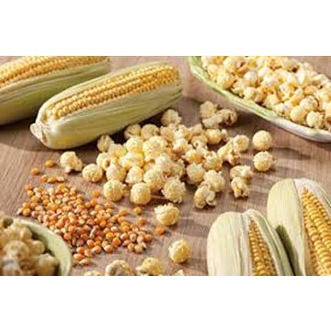 semillas de sésamo maíz palomitas de maíz champiñón al por mayor