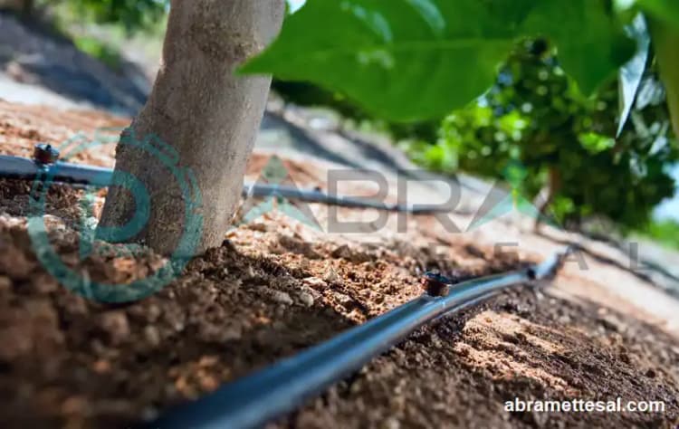 Tubo in polietilene agricolo (irrigazione a goccia e a pioggia)