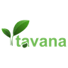 Tose Andishan Atlas Company (Tavana)