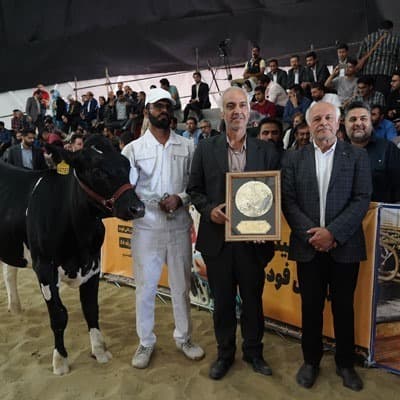 The achievement of the first place by Razavi Livestock and Dairy Industries Company at the National Holstein Festival / 