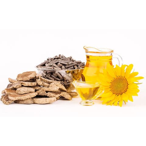 Pastel de semillas de girasol