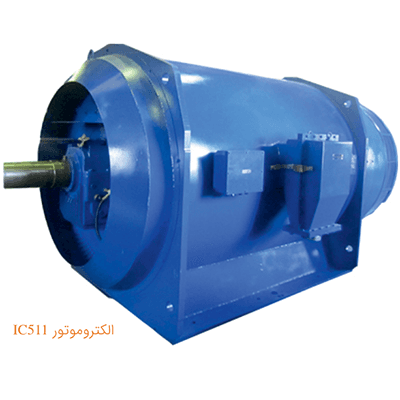 Medium and high voltage electric motor IC511