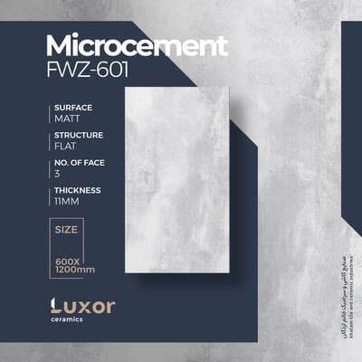 FWZ601