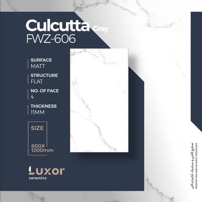 FWZ606