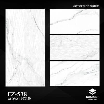 FZ-538