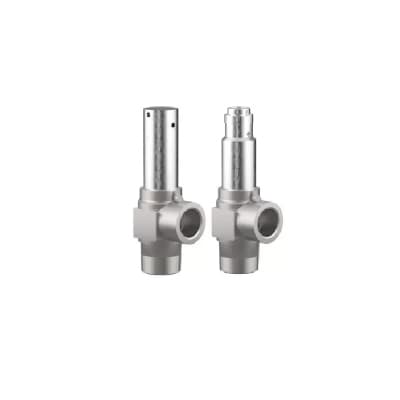 Safety valve