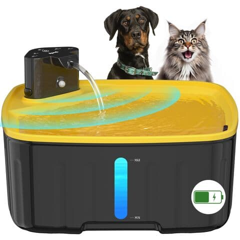 Dog water bowl