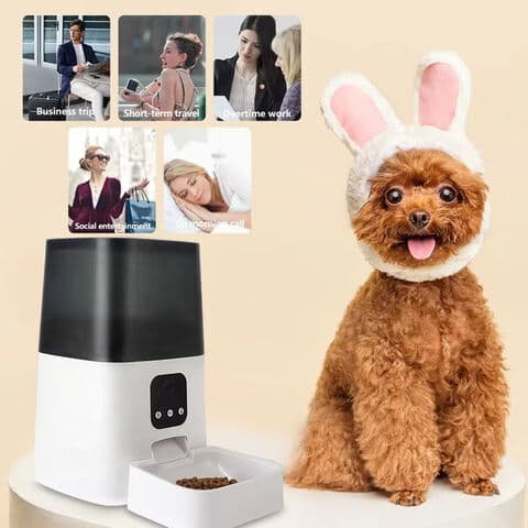 Pet feeding device made of stainless steel