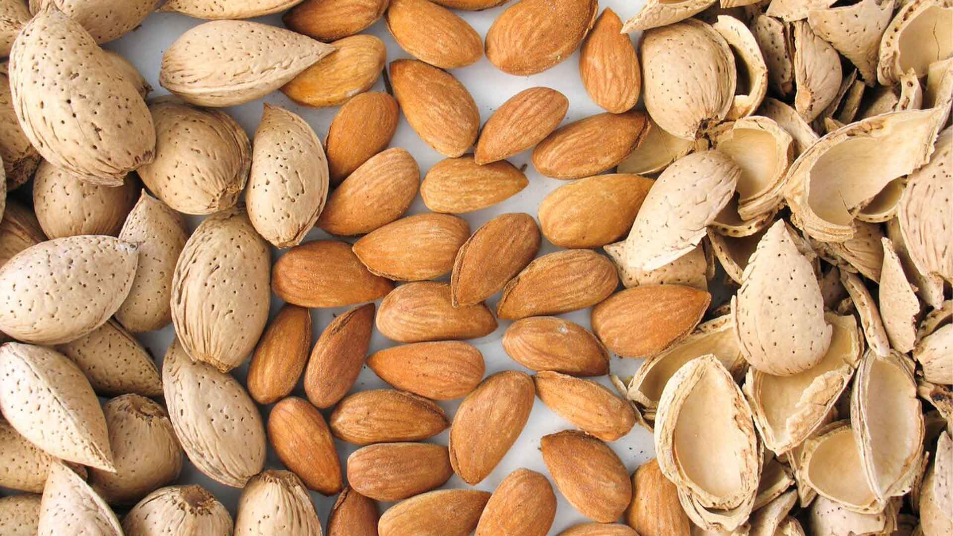 È meglio la mandorla amara o la mandorla dolce?