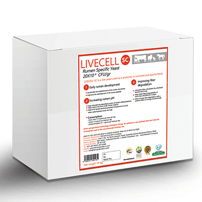 Levure vivante LiveCell SC 20