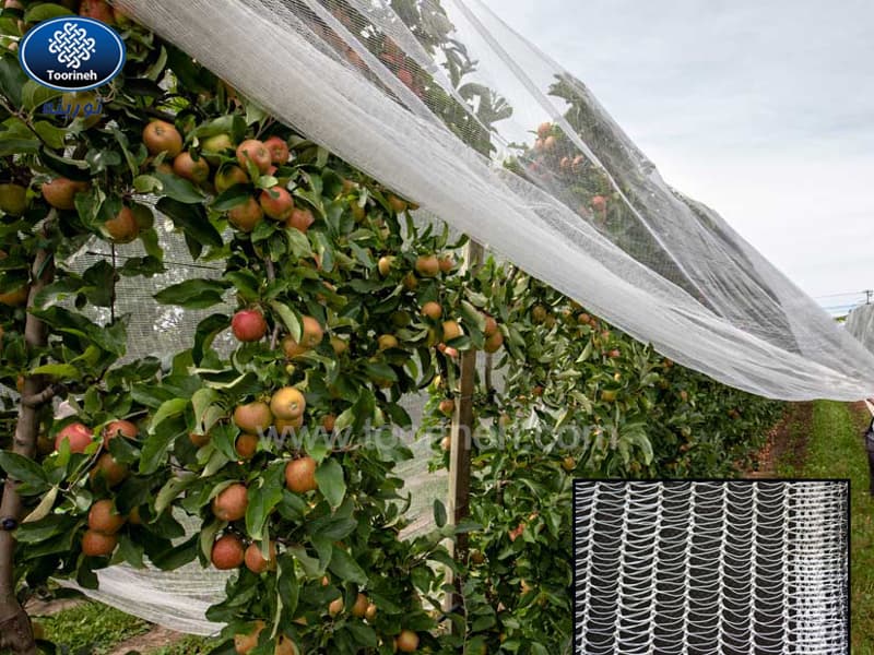 Protecting garden products against heavy snow and rain with a new hail-resistant garden netting cover.