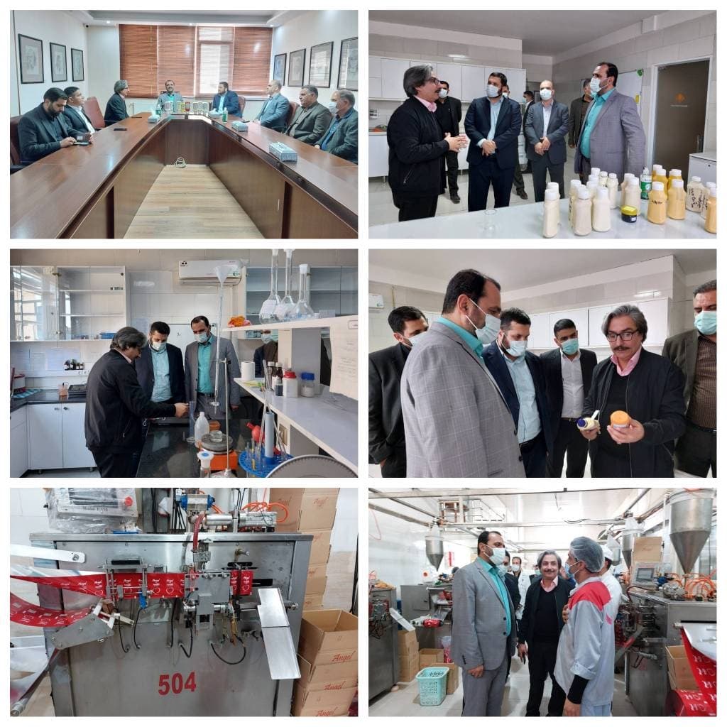 Visita del governatore di Nazarabad all'unità produttiva Rahpooyan Shamim Iranian.