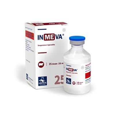 INMEVA vaccin inactivé contre Chlamydia abortus et Salmonella abortusovis