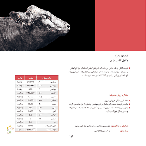 Complément pour les bovins de finition Gol Beef