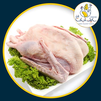 غاز