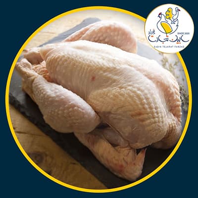 بوقلمون کامل