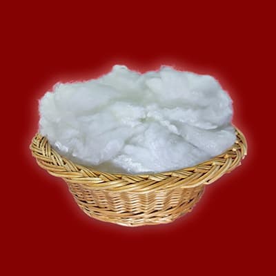 fibre di poliestere staple