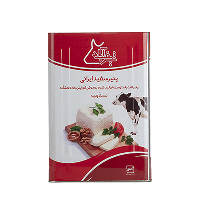 16-kilogram relatively fatty white cheese