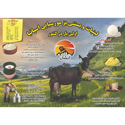 Produits laitiers