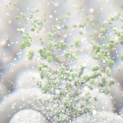 Фермент амилоза