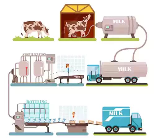 The importance of the impact of livestock scales on increasing profit