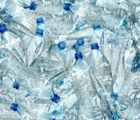 Uso de botellas de plástico como saborizante de vainilla
