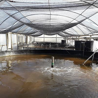 Sonnenschutznetz für die Abdeckung von Wasserreservoirs.