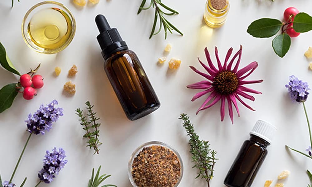 Aceites esenciales de plantas medicinales