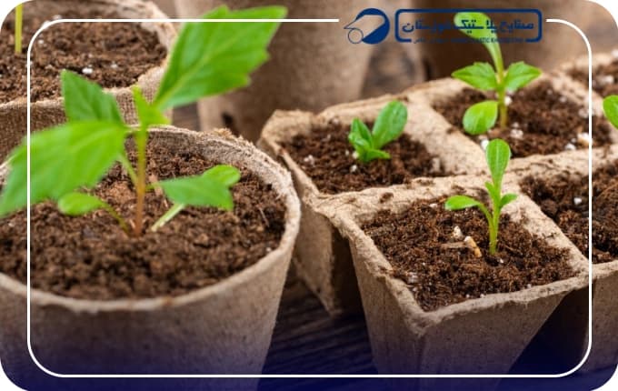 Macetas y recipientes para injertar plantas
