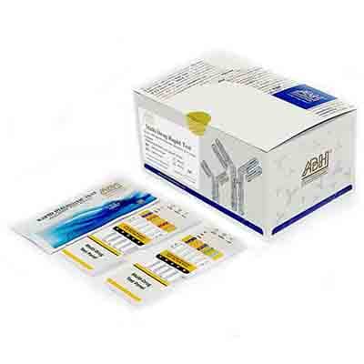 10 rapid drug detection test kit