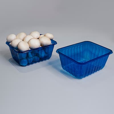 champignon 200