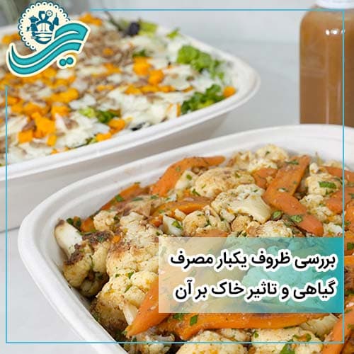 Introduction to Plant-Based Disposable Tableware and Its Difference from Plastic Tableware