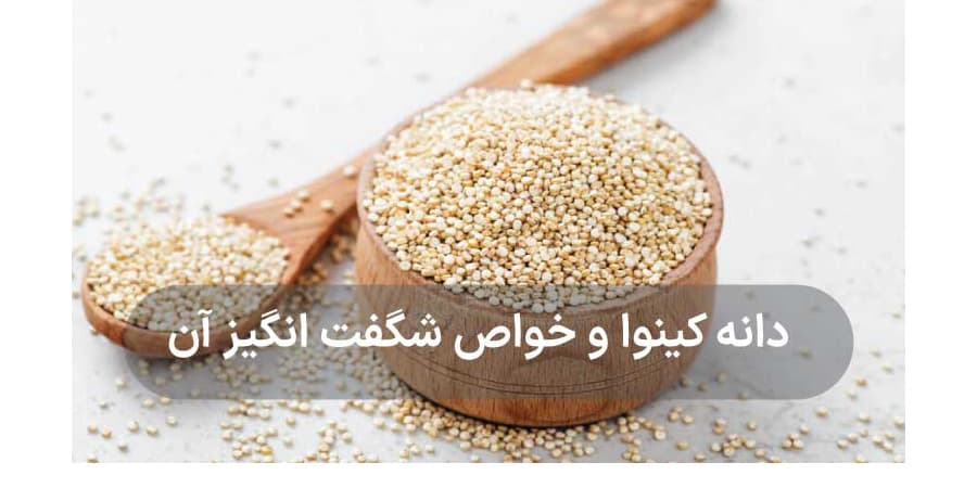 Todo sobre las propiedades de la quinoa, más de 15 propiedades sorprendentes.