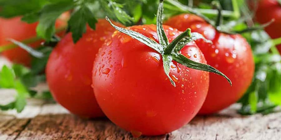 Los tomates más selectos están en la salsa Rouzhyar.