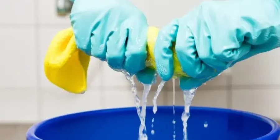 Che cos'è l'acqua di calce? 7 caratteristiche dell'acqua di calce che la differenziano dalla candeggina.