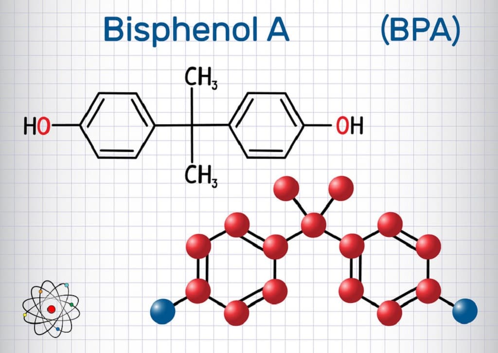 Der schädliche Stoff BPA und seine Auswirkungen auf die Gesundheit des Menschen