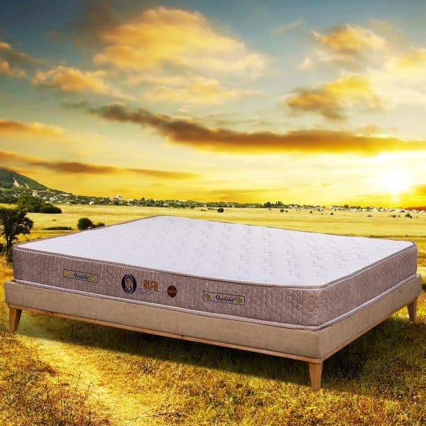 Shakiba mattress model Alpha orthopedic spring
