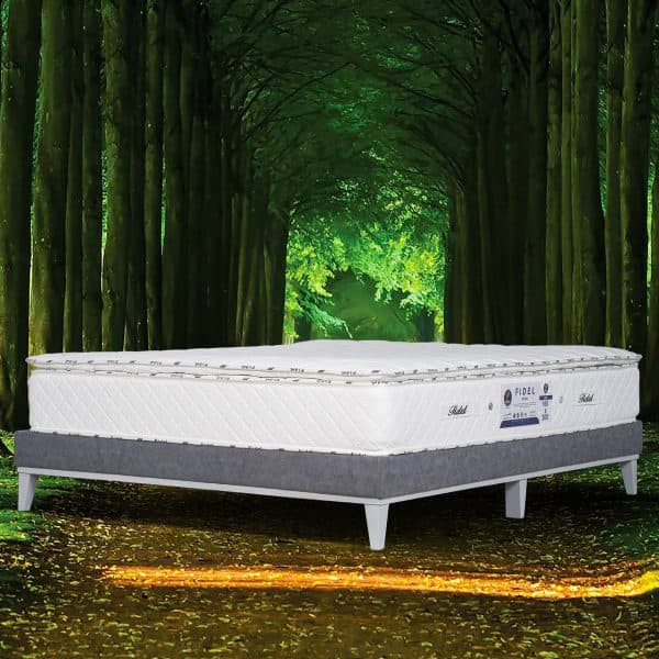 Fidel mattress model Super Spring Aramesh Plus (with pad)