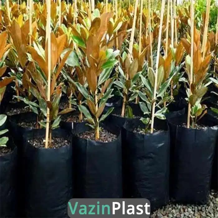 ¿Por qué se debe utilizar plástico para el cultivo de plántulas?