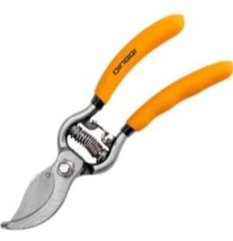Dingy 8-inch gardening scissors