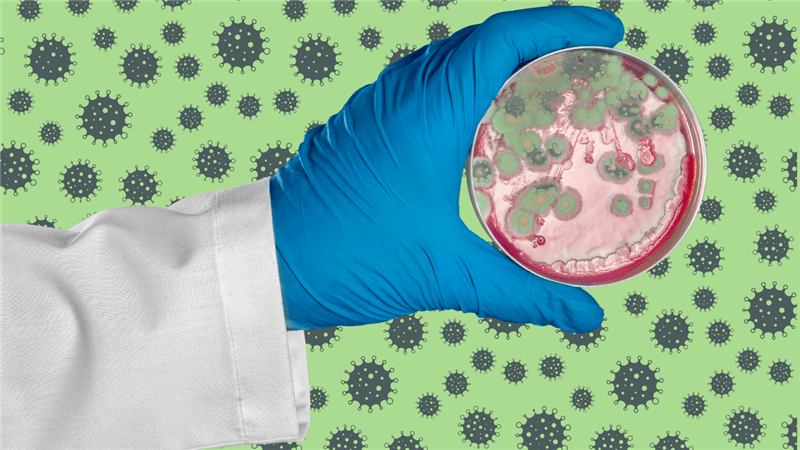 The necessity of mycotoxin risk management strategy in poultry production